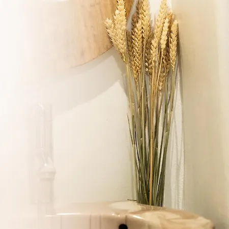 Love Suite Mykonos Town Holiday home *
